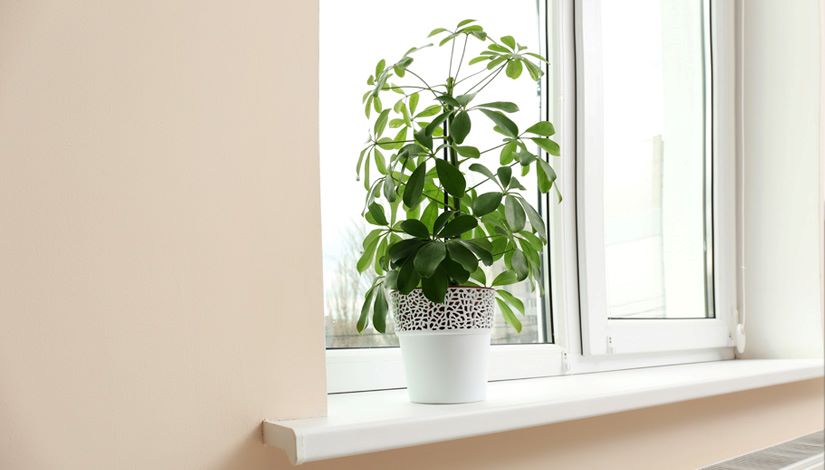 antakya-pvc-kapi-pencere